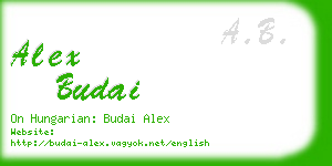 alex budai business card